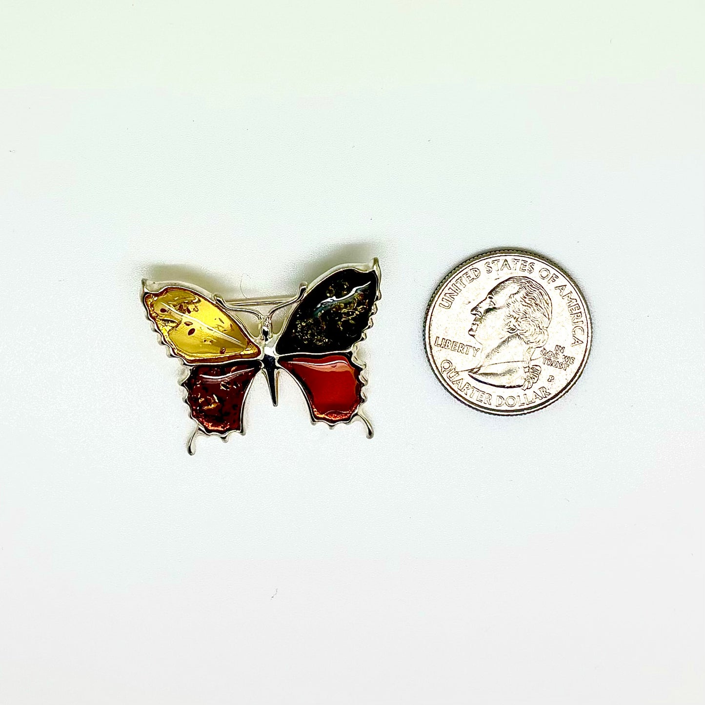 Multi Color Baltic Amber Pin